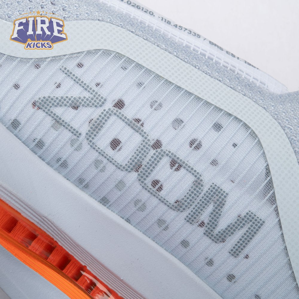 Nike Air Zoom Pegasus Premium Airscape HQ2592-002 Unisex